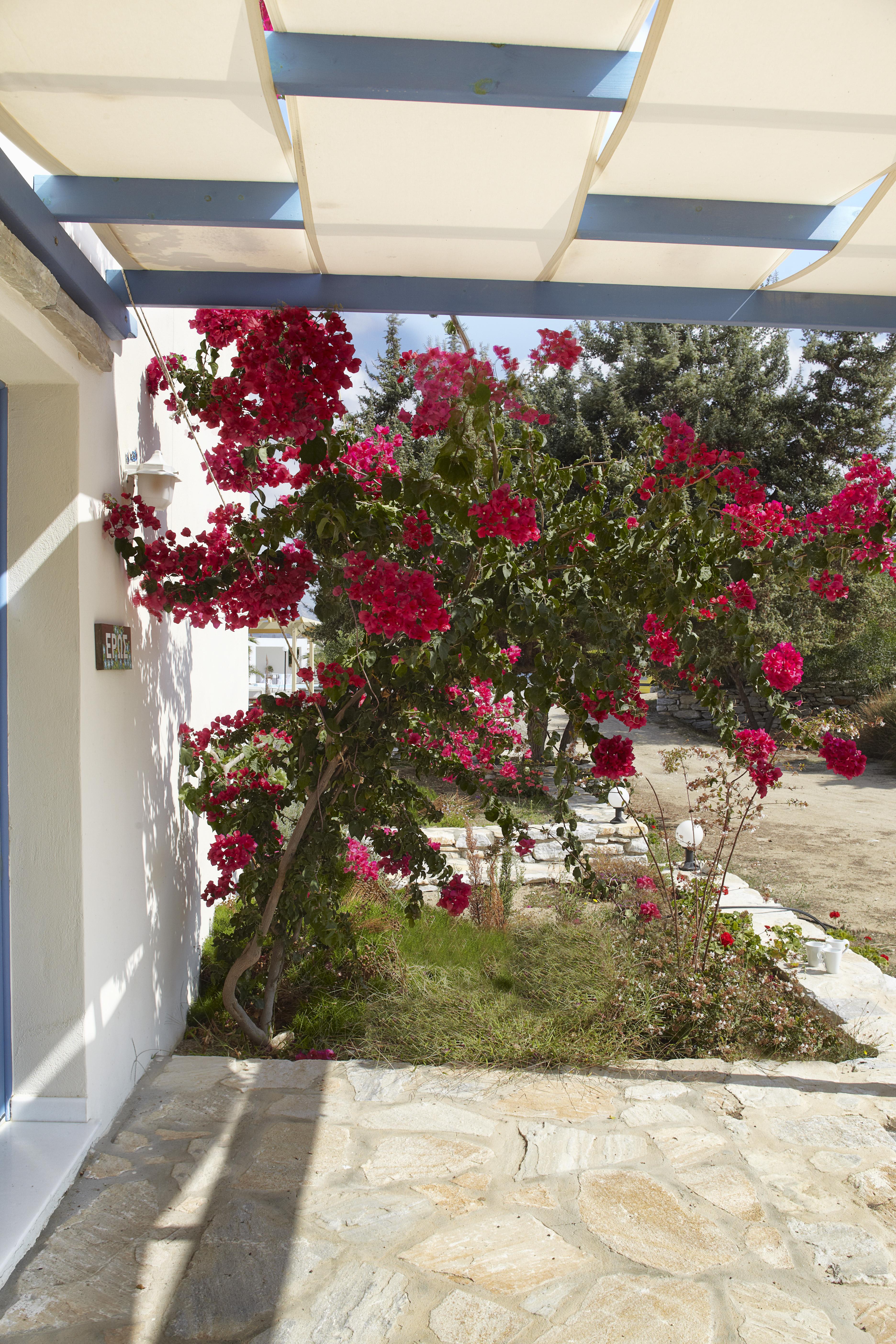 Kedros Villas Agios Prokopios  Bagian luar foto