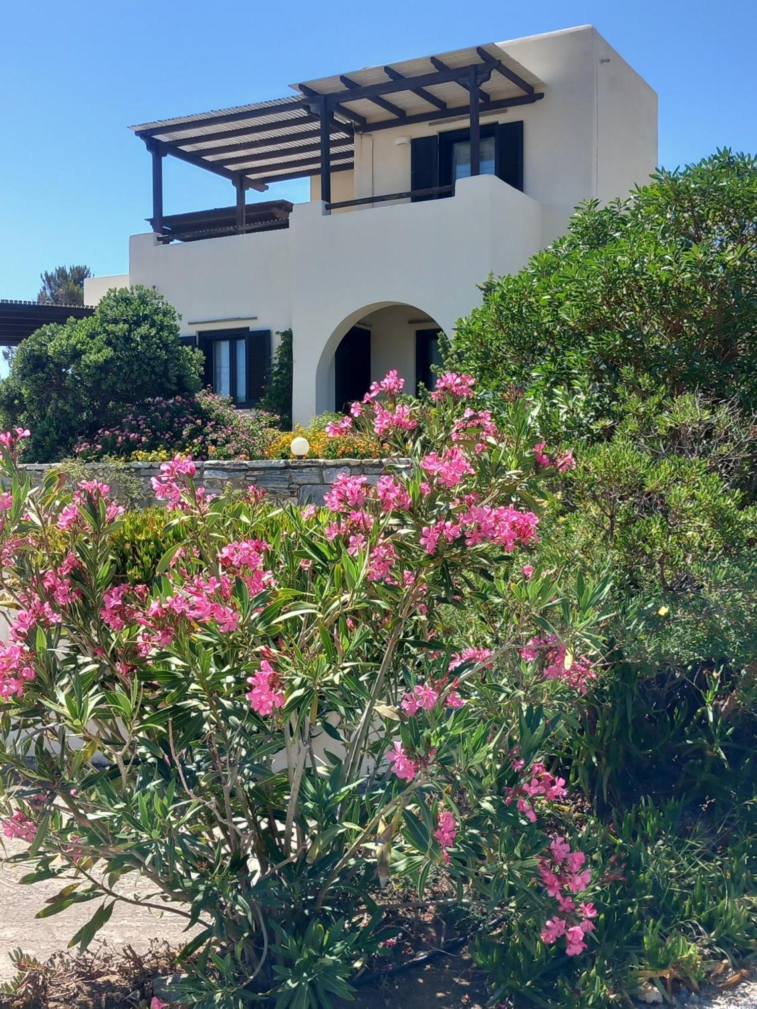 Kedros Villas Agios Prokopios  Bagian luar foto