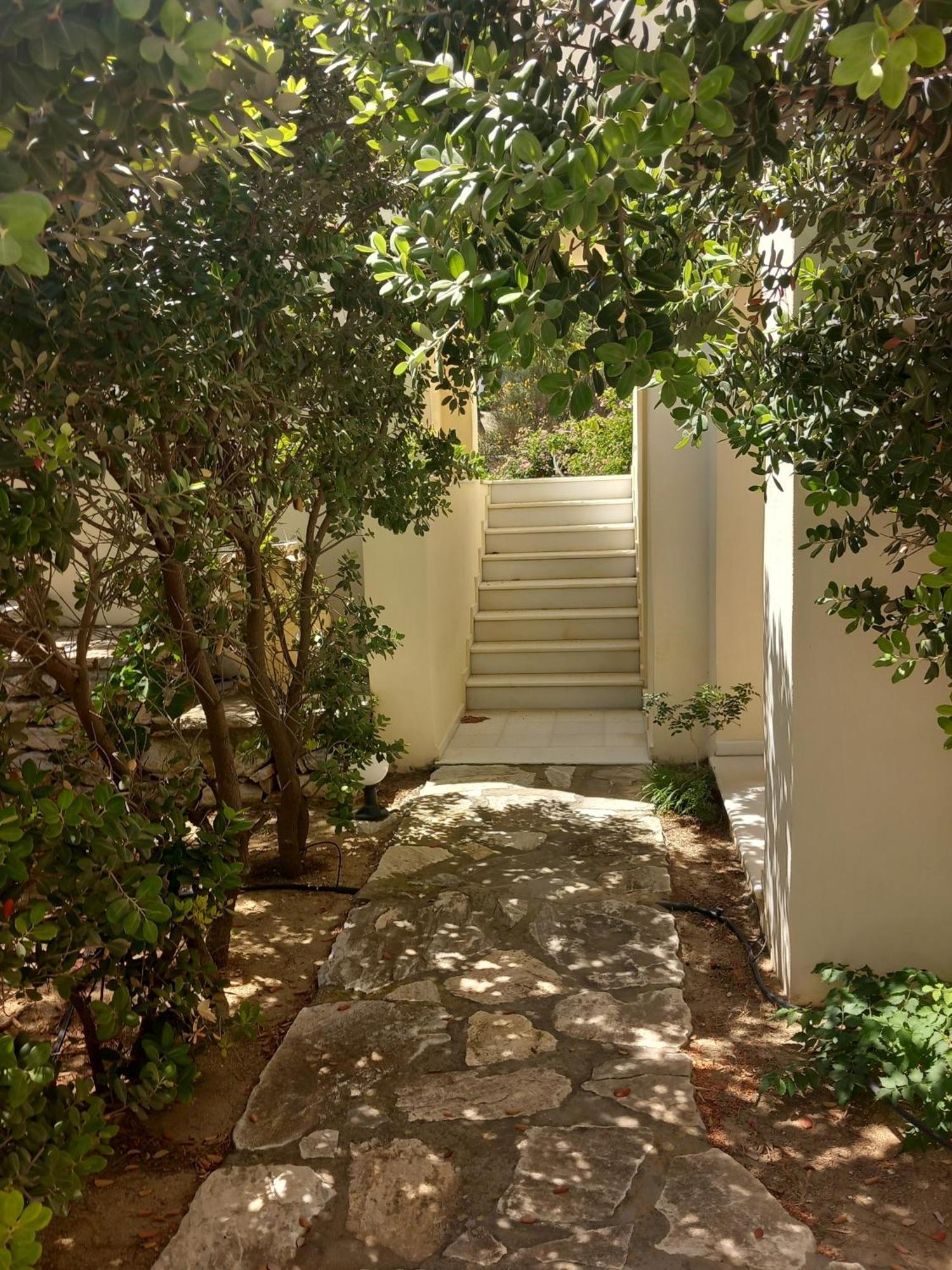 Kedros Villas Agios Prokopios  Bagian luar foto