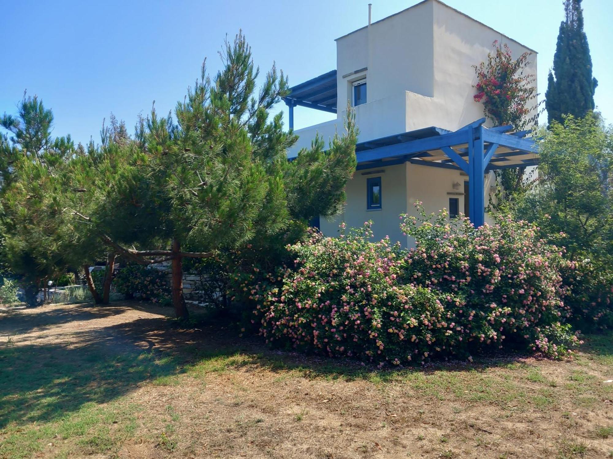Kedros Villas Agios Prokopios  Bagian luar foto