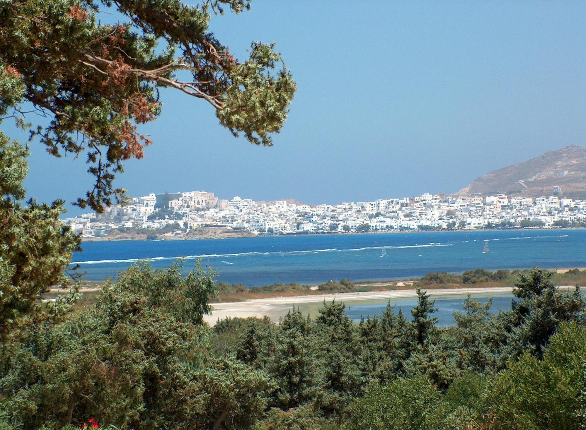 Kedros Villas Agios Prokopios  Bagian luar foto